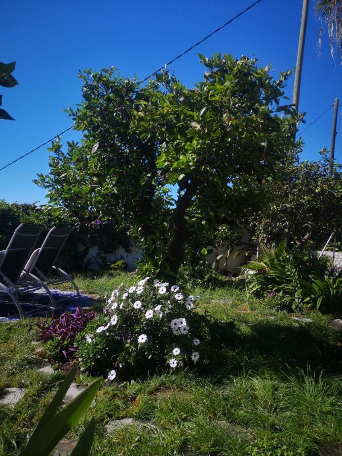Villa Sila El Paso Eksteriør billede
